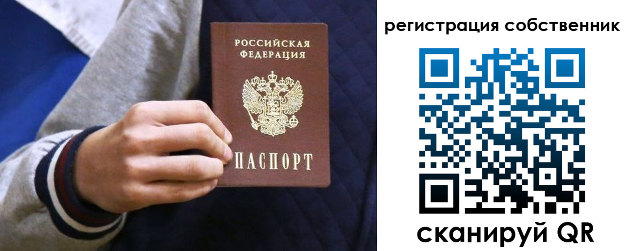 прописка поиск в Клинцах